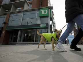 Des gens promènent leur chien devant une succursale de la Banque TD à Toronto.