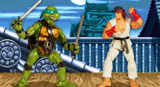 Ces ensembles de figurines d'action Street Fighter Versus Teenage Mutant Ninja Turtles sont incroyables