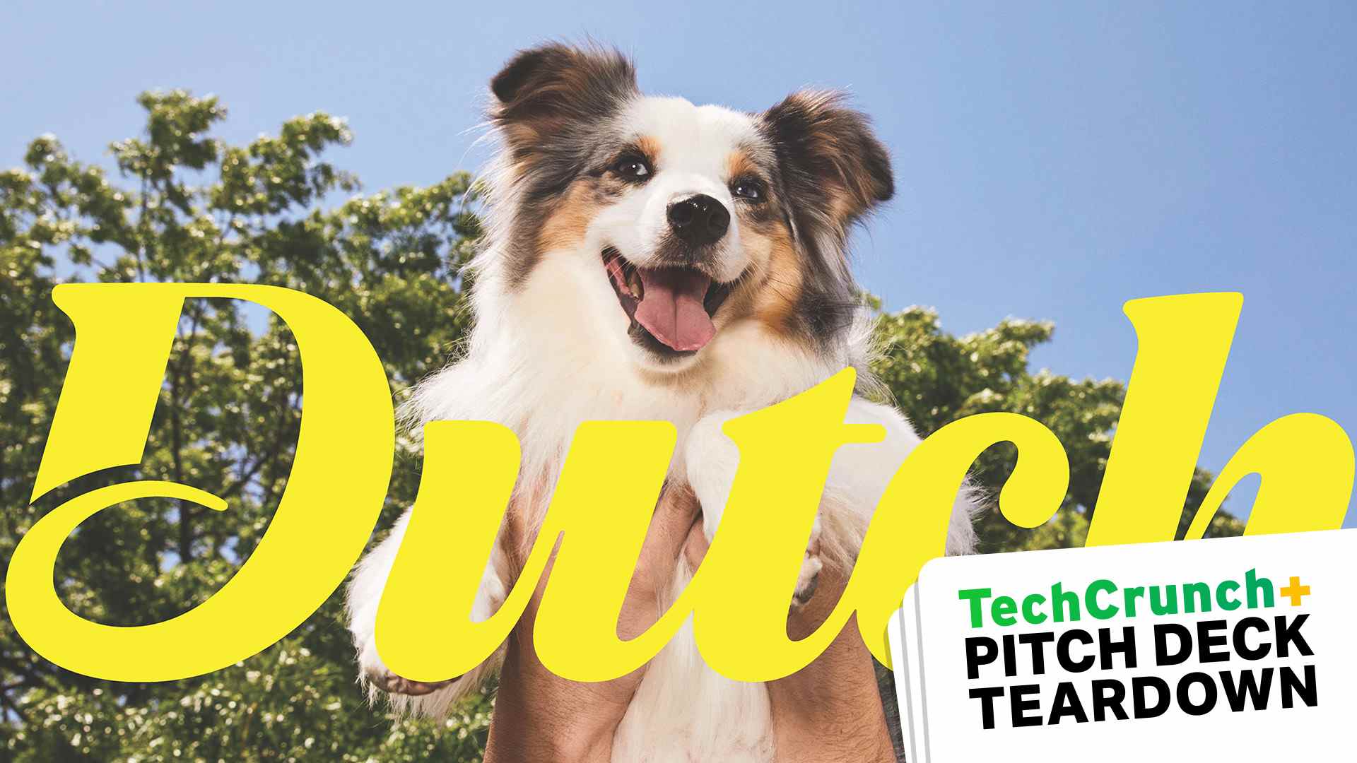 Diapositive de couverture de pont de pitch avec un chien mignon, le mot NÉERLANDAIS et TechCrunch Pitch Deck Teardown superposés