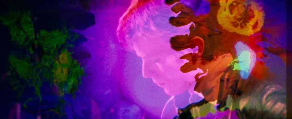 David Bowie Doc partage une rêverie Moonage
