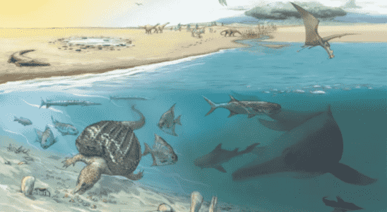 Des fossiles de créatures géantes ressemblant à des baleines appelées ichtyosaures découverts dans les Alpes suisses