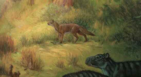 Des fossiles récemment découverts révèlent à quel point les chiens anciens différaient des fidèles compagnons d'aujourd'hui