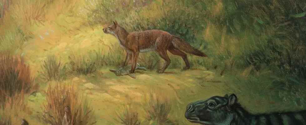 Des fossiles récemment découverts révèlent à quel point les chiens anciens différaient des fidèles compagnons d'aujourd'hui