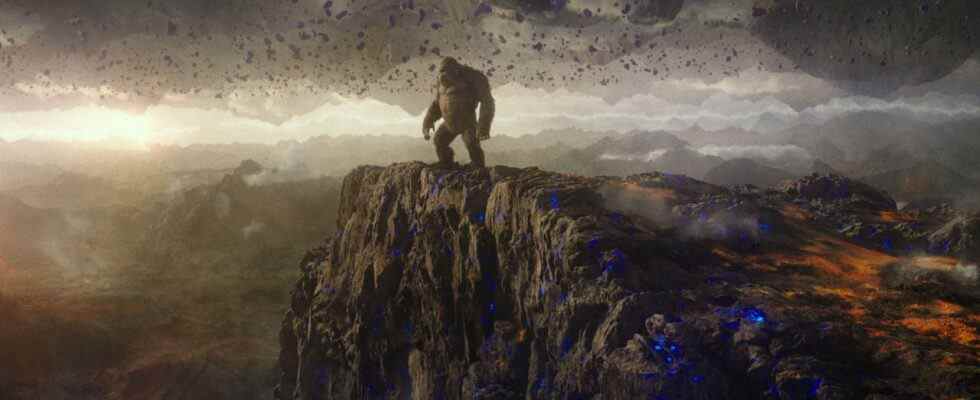 Des scientifiques découvrent une ancienne forêt cachée dans un gouffre - aucun signe de Godzilla ou de Kong pour le moment