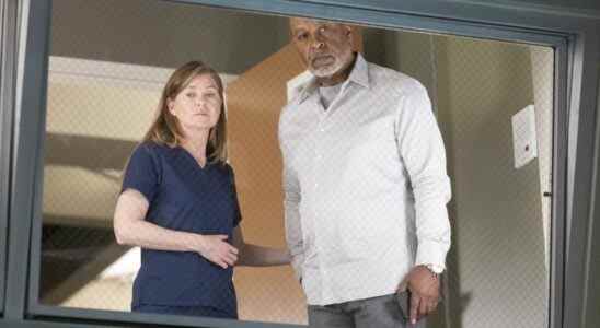 Grey's Anatomy vient-il de rompre un couple avant le final de la saison 18 ?
