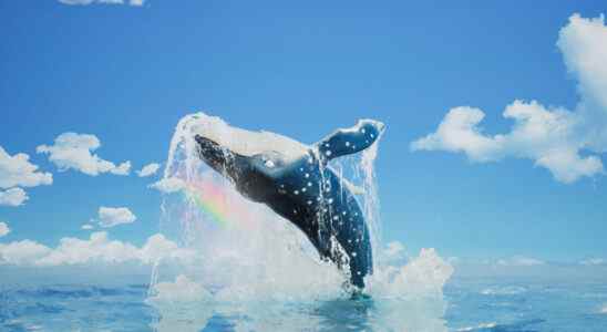 Le film d'animation 'The Last Whale Singer' acquis par Global Screen - Cannes (EXCLUSIF) Le plus populaire doit être lu Inscrivez-vous aux newsletters Variety Plus de nos marques