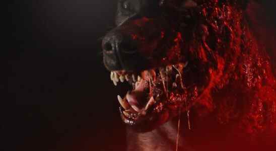 Les premières bandes-annonces Resident Evil de Netflix taquinent l'avenir sombre des zombies de la série télévisée
