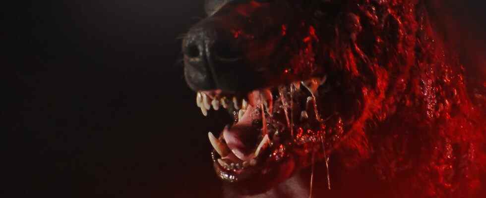 Les premières bandes-annonces Resident Evil de Netflix taquinent l'avenir sombre des zombies de la série télévisée