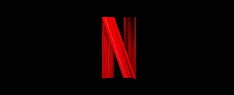Netflix est poursuivi par ses propres actionnaires pour la crise des abonnés