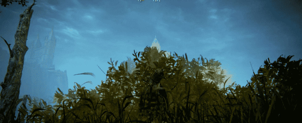 Un joueur de l'Elden Ring se cache dans un buisson pendant trois heures pour contrecarrer un fermier runique