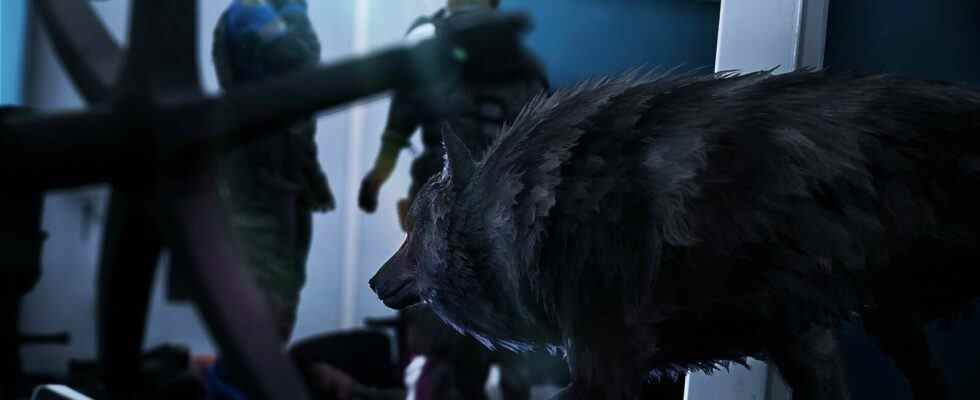 Werewolf: The Apocalypse - Earthblood montre la furtivité du loup