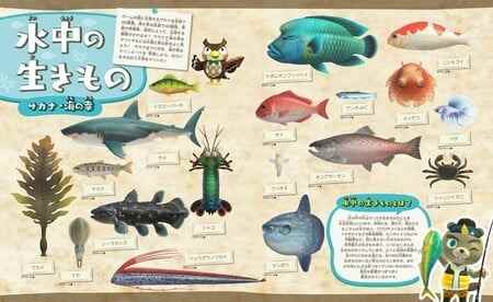 Encyclopédie Animal Crossing Nature 4