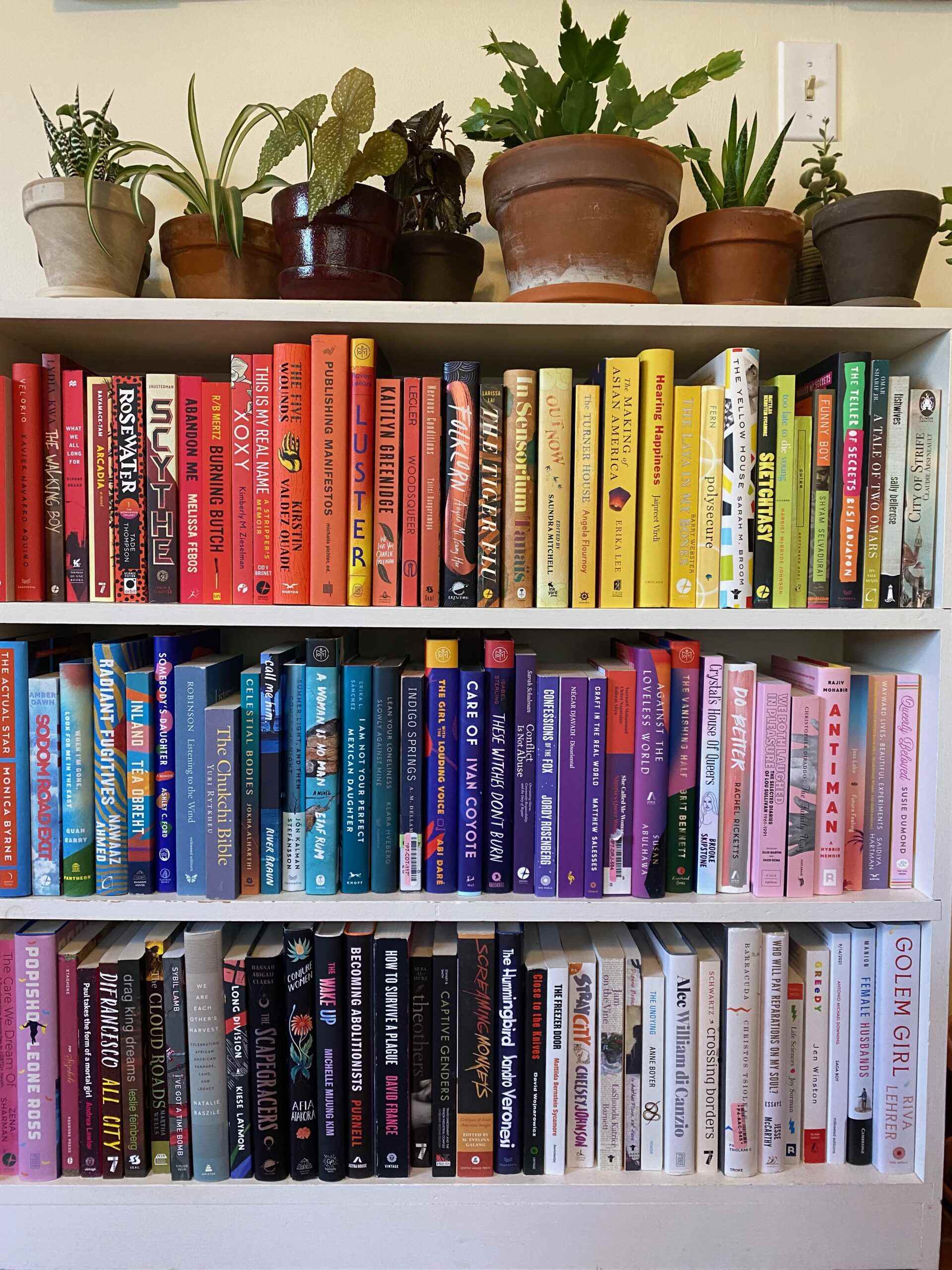 Une bibliothèque blanche avec trois étagères de livres disposées selon les couleurs des arcs-en-ciel.  Le haut de l'étagère est plein de plantes.  Photo de l'auteur.