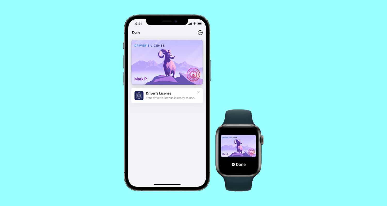 Un Apple iPhone et une Apple Watch affichant des maquettes de la représentation numérique d'Apple d'un permis de conduire d'État.