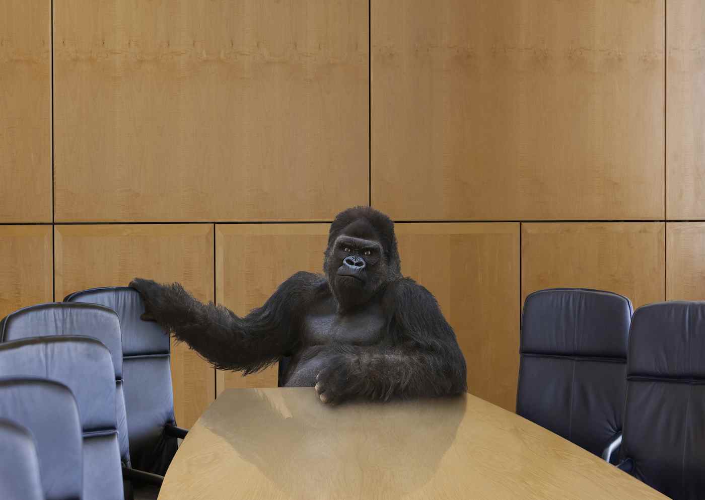Un gorille menaçant est assis à la tête de la table de la salle de conférence et invite le spectateur à s'asseoir à côté de lui.