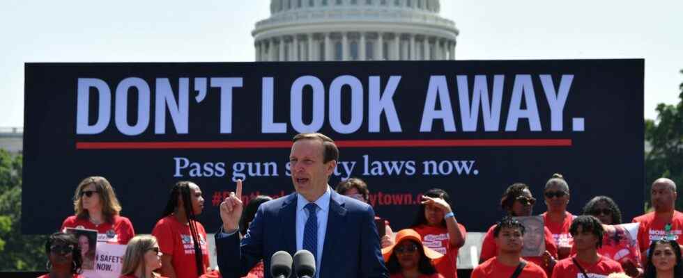 Le Sénat vient d'annoncer un accord bipartite sur la sécurité des armes à feu