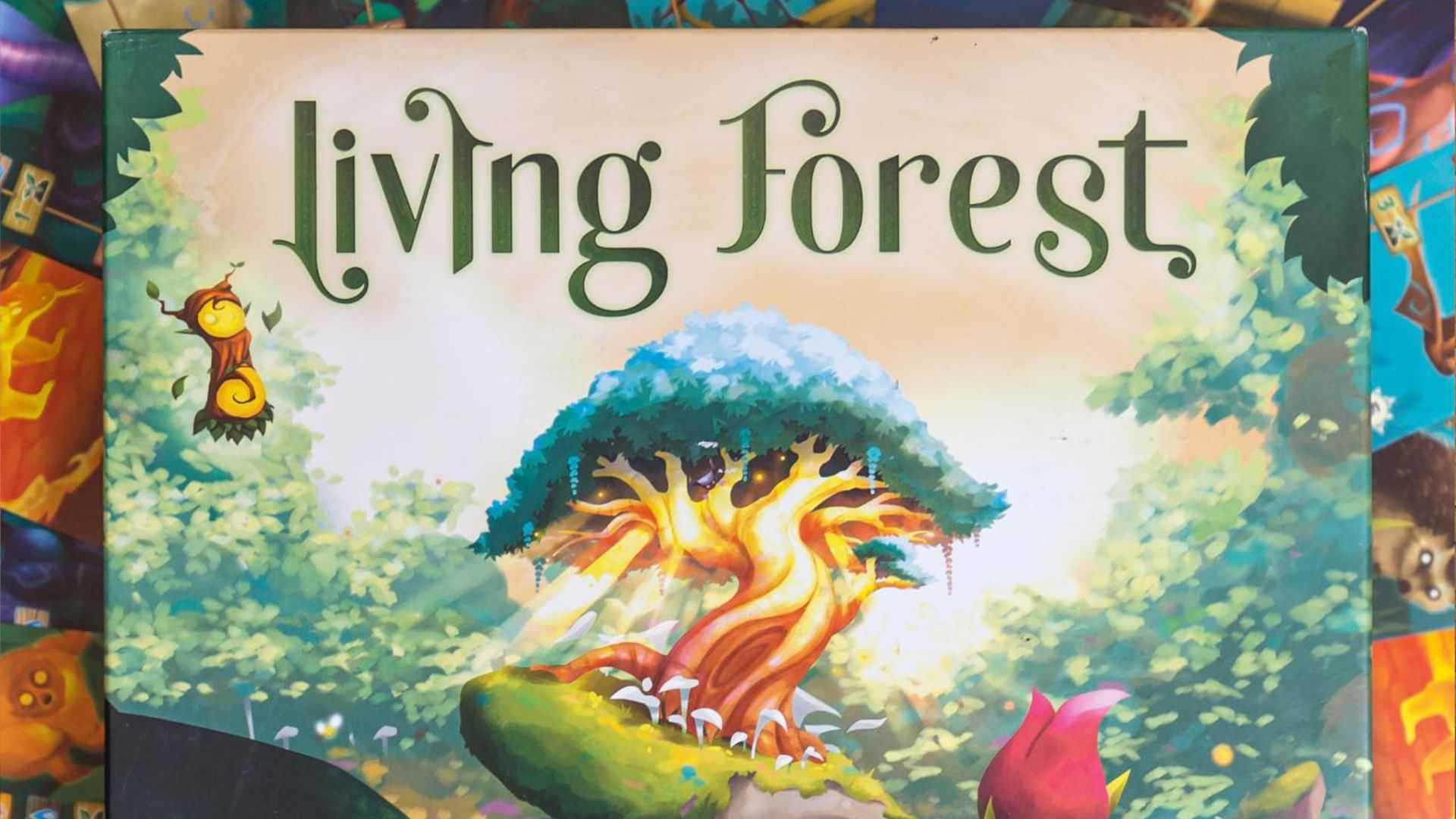 Boîte et cartes Forêt Vivante
