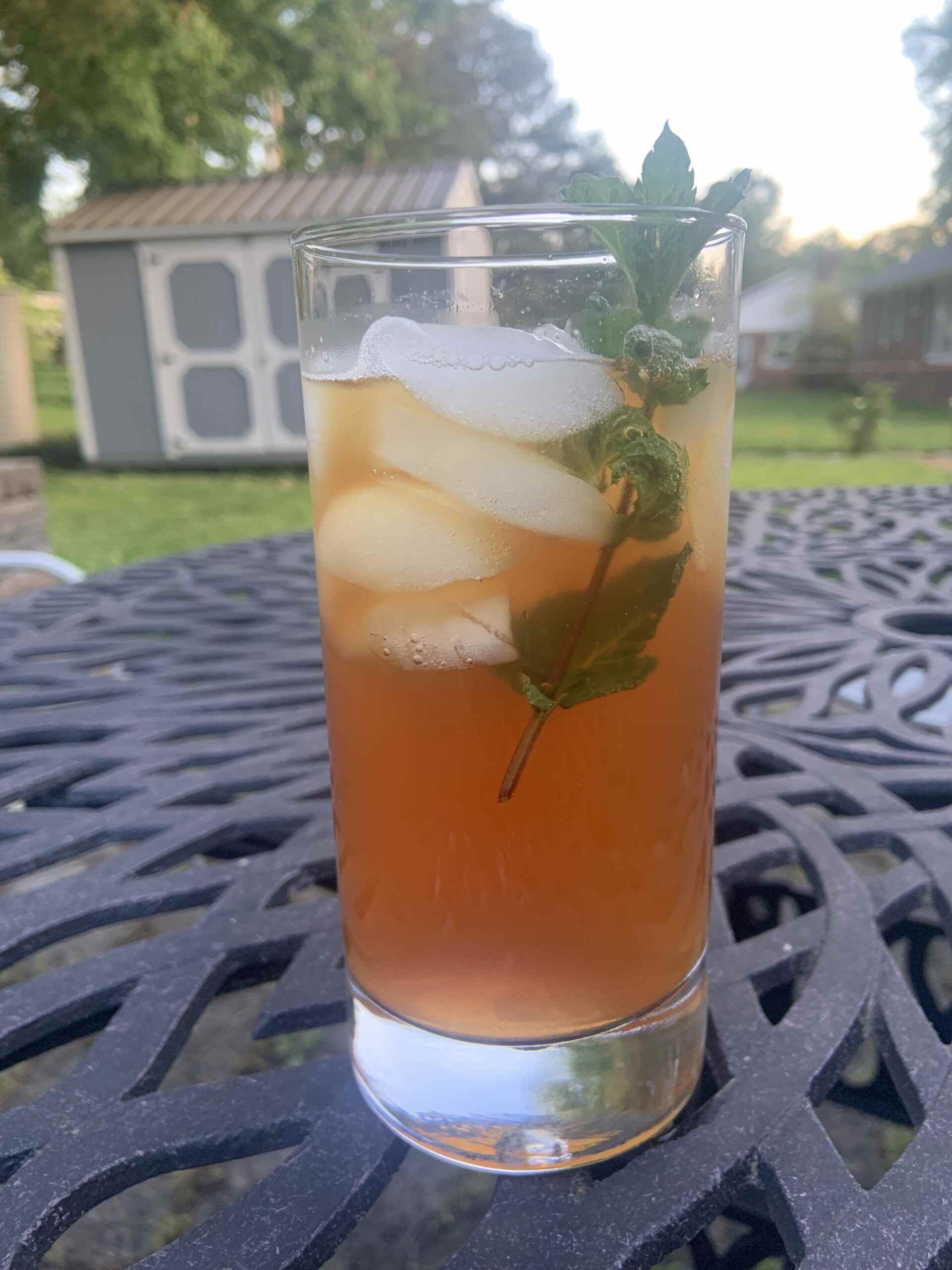une photo d'un verre de thé glacé avec un brin de menthe