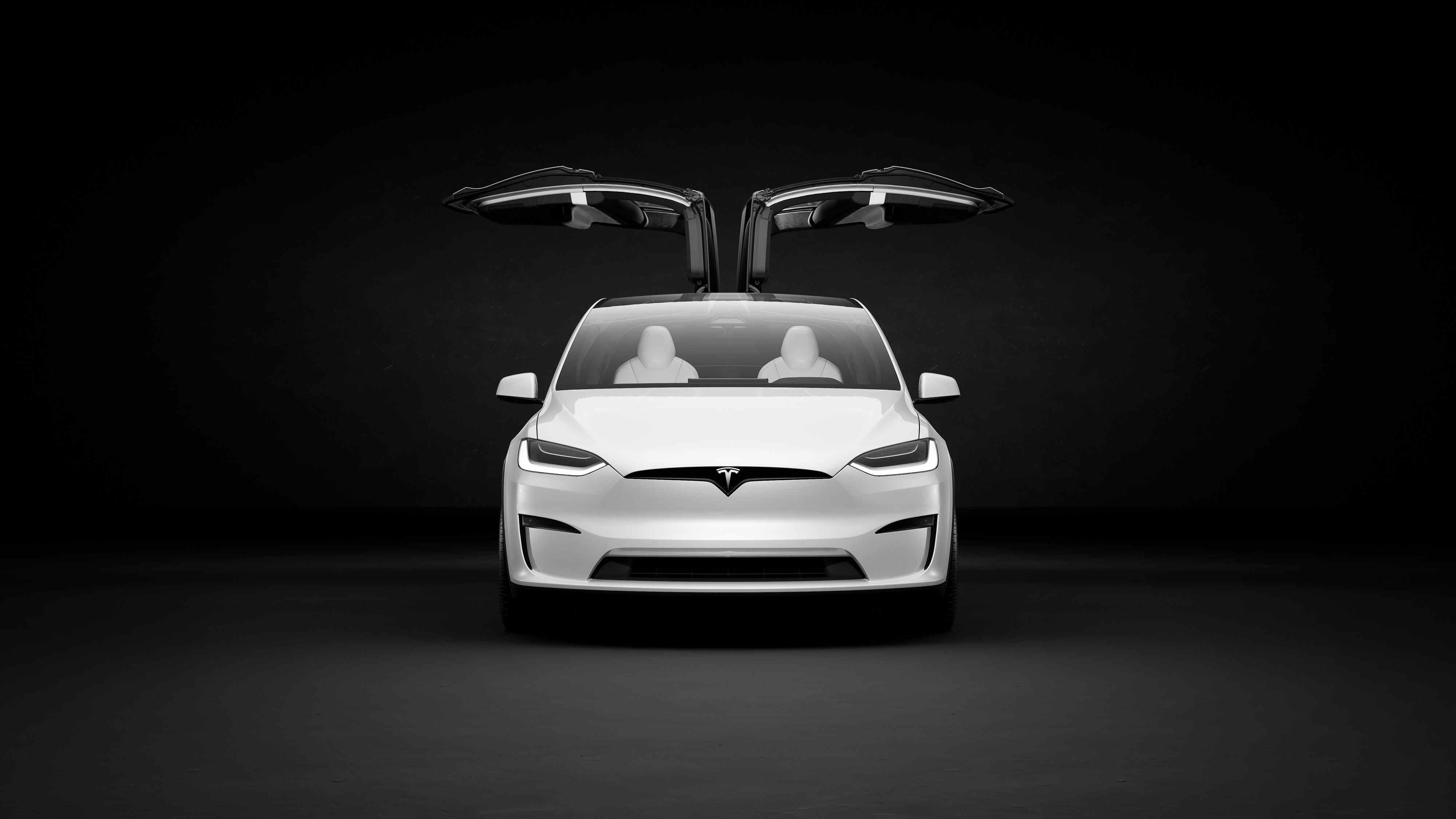 Tesla modèle x portes papillon à carreaux