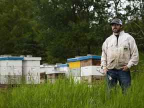 L'apiculteur Kevin Nixon avec certaines de ses ruches.