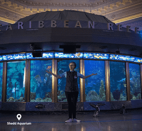 Jane Lynch visite le Shedd Aquarium de Chicago.  (Office du tourisme de l'Illinois)