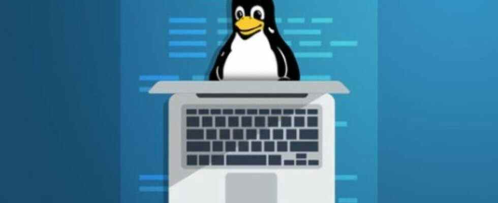 Apprenez les bases de Linux avec cet ensemble de 5 cours