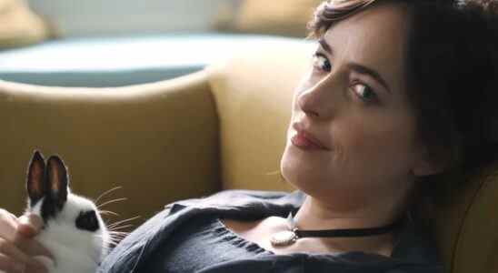 Bande-annonce de Persuasion : Dakota Johnson joue dans une adaptation de Jane Austen sur Netflix