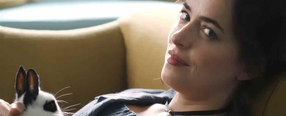 Bande-annonce de Persuasion : Dakota Johnson joue dans une adaptation de Jane Austen sur Netflix