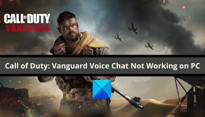 Call of Duty: Vanguard Voice Chat ne fonctionne pas sur PC