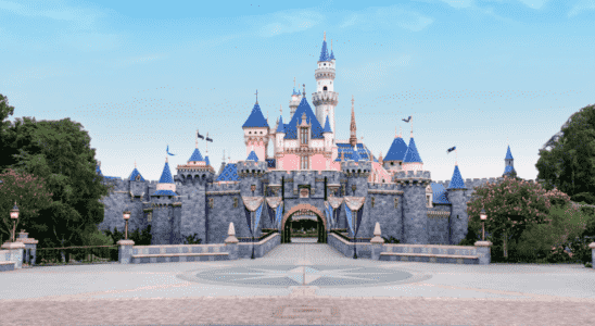 Disney propose un forfait mondial de voyage en jet privé de 110 000 $ vers les 12 parcs et plus