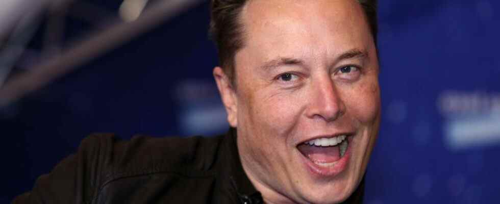 Elon Musk est poursuivi pour 258 milliards de dollars à cause de Dogecoin