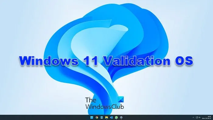 Système d'exploitation de validation Windows 11