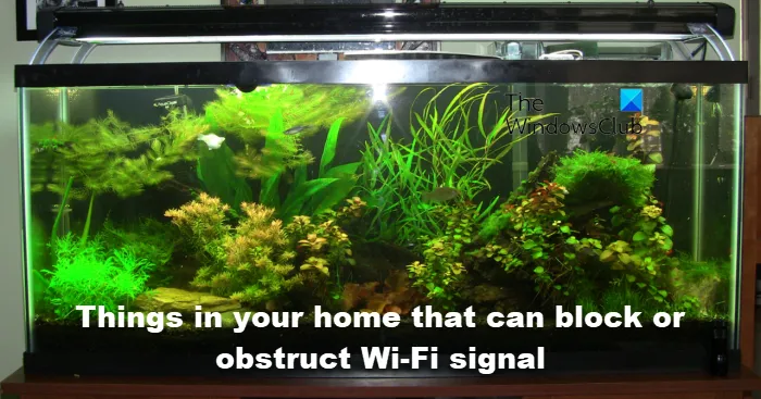 Objets dans votre maison qui peuvent bloquer ou obstruer le signal Wi-Fi