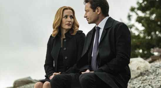 Qu'est-ce qui ramènerait David Duchovny au rôle de Mulder dans X-Files