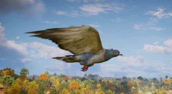 Roucouler!  Assassin's Creed Valhalla's Raven peut être transformé en pigeon