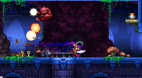 Shantae and the Pirate's Curse est libre de continuer sur GOG maintenant
