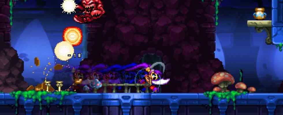 Shantae and the Pirate's Curse est libre de continuer sur GOG maintenant