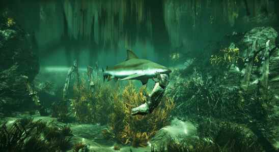Shark RPG Maneater est gratuit cette semaine sur Epic Games Store