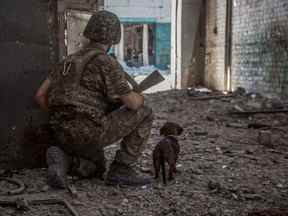 Un militaire ukrainien avec un chien observe dans la zone industrielle de la ville de Sievierodonetsk, alors que l'attaque russe contre l'Ukraine se poursuit, le 20 juin 2022.