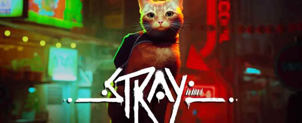 Stray Purrs Its Way to PS4 & PS5 en juillet, sera sur PS Plus Extra & Premium