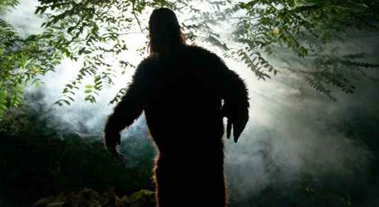 Talking Strange Bigfoot