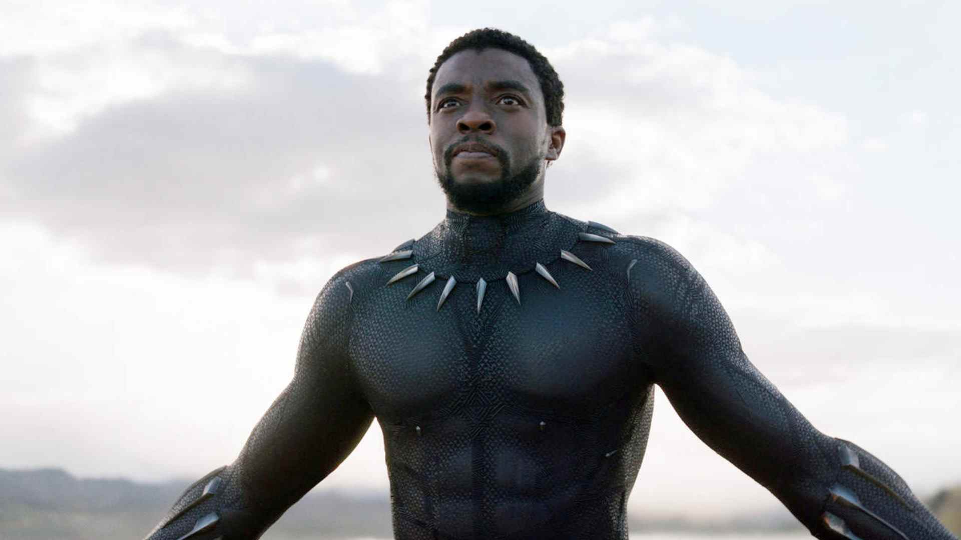 Chadwick Boseman dans Black Panther