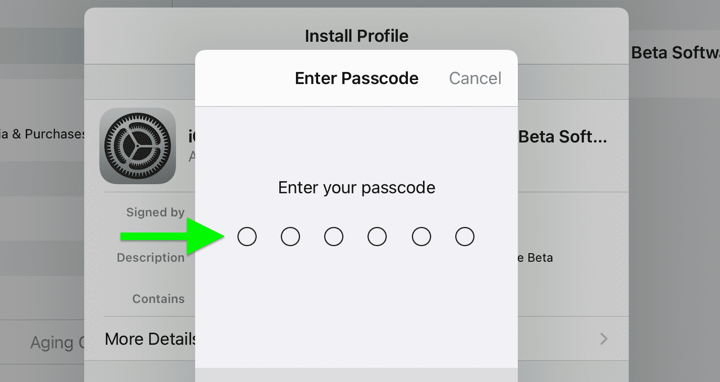 Guide d'installation de la version bêta d'iPadOS 16 montrant le champ de saisie du code d'accès en surbrillance