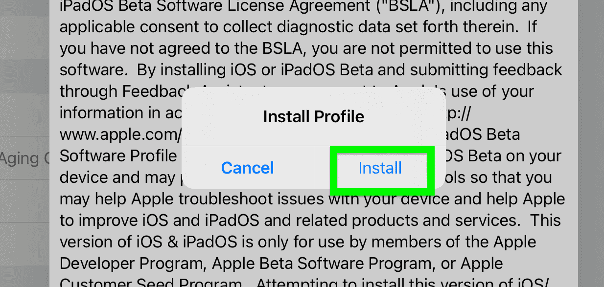 iPadOS 15 beta comment télécharger : appuyez à nouveau sur installer