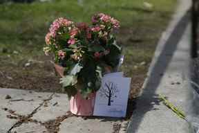 Des fleurs ont été laissées sur les lieux où les restes d'une jeune fille ont été retrouvés dans une benne à ordures sur l'avenue Dale à Toronto le jeudi 5 mai 2022.