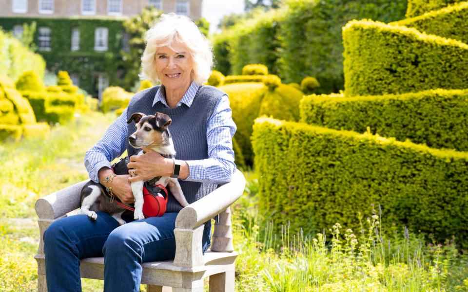 La duchesse à Highgrove avec son chien Beth – Harry Page/ITV