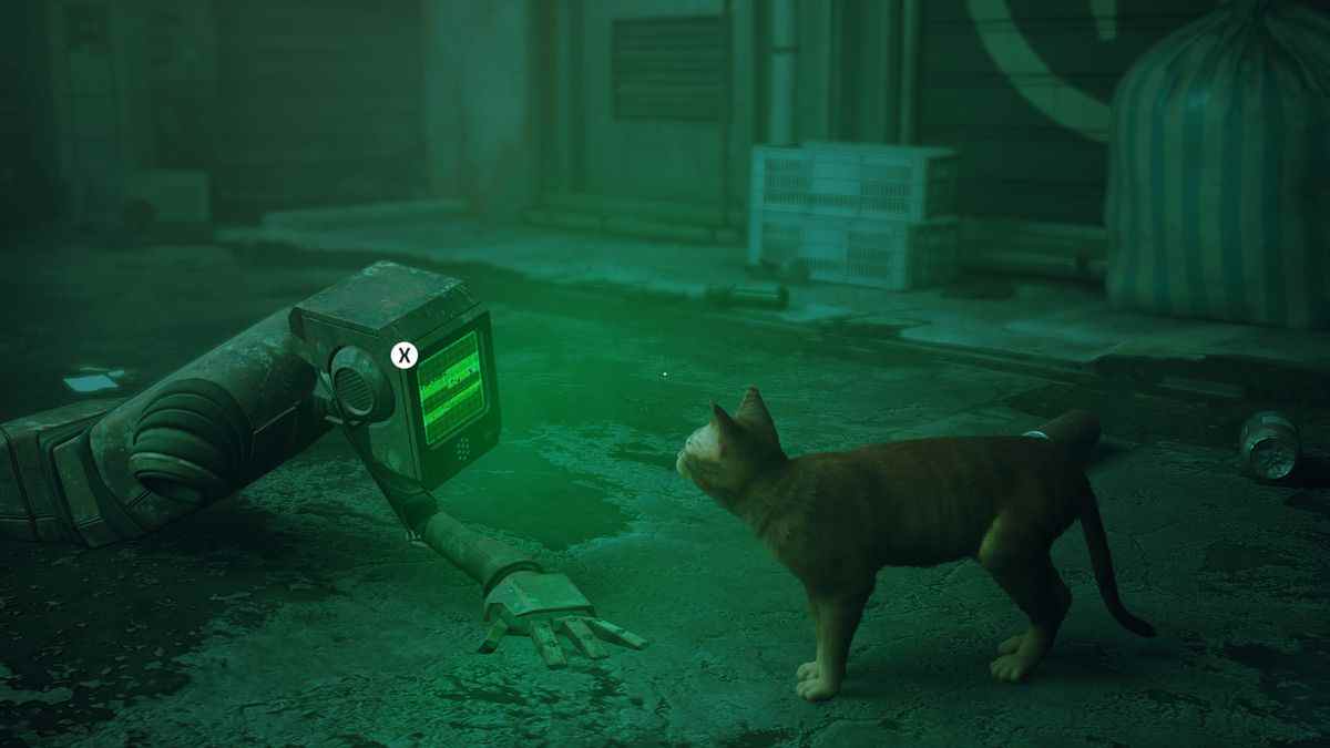 le chat protagoniste de Stray inspecte un robot rampant vers le chat dans une ruelle