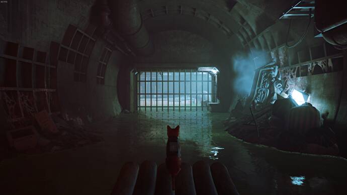 The Outsider of Stray, un chat, est sur le bateau de Momo dans The Sewers, aux côtés de B12.