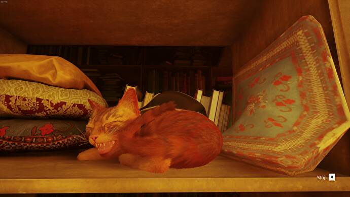 L'Outsider, un chat, fait une sieste sur une étagère dans The Rooftops of Stray.