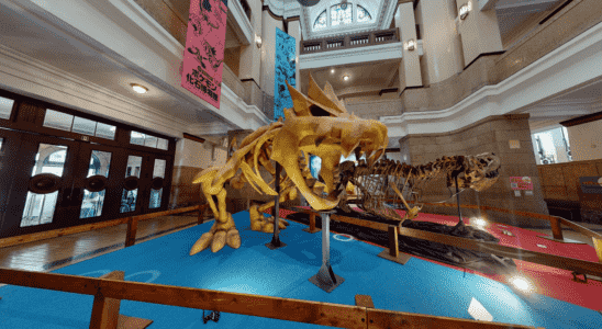 La visite virtuelle du musée des fossiles Pokémon vous permet de voir l'exposition japonaise par vous-même